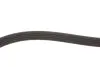 Ремінь генератора BMW 3 (E36)/5 (E34/E39)/Hyundai (5PK1815) MEYLE 050 005 1815 (фото 3)