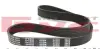 Ремінь генератора Citroen Berlingo/Peugeot Partner 1.6HDI (6PK800) MEYLE 050 006 0800 (фото 2)