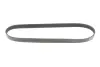 Ремінь генератора Peugeot Partner 10-/Citroen Berlingo 05- 1.6 HDI (6PK976) MEYLE 050 006 0976 (фото 4)