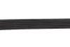 Ремінь генератора Citroen Jumper/Fiat Ducato 2.8HDi/JTD 00- (ALT,WP) (6PK995) MEYLE 050 006 0995 (фото 3)