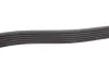 Ремінь генератора Fiat Ducato 2.5D/TD (PS) (6PK1015) MEYLE 050 006 1015 (фото 3)