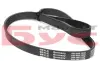 Ремінь генератора Mitsubishi Galant VI 2.5 96-04 (6PK1060) MEYLE 050 006 1060 (фото 2)