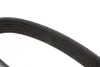 Ремінь генератора Citroen Berlingo/Fiat Scudo 1.9D (1868) (6PK1438) MEYLE 050 006 1438 (фото 2)