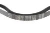 Ремінь генератора Citroen Berlingo/Fiat Scudo 1.9D (1868) (6PK1438) MEYLE 050 006 1438 (фото 3)