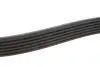 Ремінь генератора Fiat Ducato 2.0JTD 01- (ALT, AC) (6PK1468) MEYLE 050 006 1468 (фото 2)