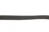 Ремінь генератора Citroen Berlingo 1.8i/VW Golf/Caddy 1.9TDI/SDI (6PK1660) MEYLE 050 006 1660 (фото 2)