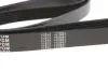 Ремінь генератора VW LT 2.5TDI 96-01/Peugeot Expert 1.9D/2.0HDI 98- (6PK1750) MEYLE 050 006 1750 (фото 3)