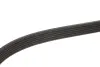 Ремінь генератора MB Sprinter CDI (-AC) (з обводним роликом) (6PK2260) MEYLE 050 006 2260 (фото 2)