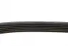 Ремінь генератора Audi A4/A6/A8/Q7 2.7/3.0TDI 04- MEYLE 050 006 2490 (фото 2)