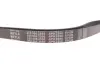 Ремінь генератора VW Crafter 2.5TDI 06-13 (6PK2590) MEYLE 050 006 2590 (фото 4)