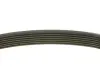 Ремінь генератора Renault Megane/Scenic 1.9dCi/2.0 03-/Nissan Juke 1.6 10- (7PK1125) MEYLE 050 007 1125 (фото 2)