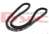 Ремінь генератора BMW/Fiat/Ford/MB/Renault (10x1000) MEYLE 052 010 1000 (фото 2)