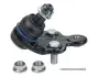 Опора кульова (передня/знизу/L) Lexus RX 06-08/Toyota Camry 01-06 MEYLE 30-16 010 0043 (фото 1)