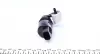 Насос омивача скла BMW 2 (F45/F46)/5 (G31)/X1 (F48)/X2 (F39)/X3 (G01/F97)/Peugeot 4007 07- MEYLE 314 870 0005 (фото 2)