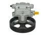 Насос гідропідсилювача керма (новий) FORD FIESTA V, FUSION MAZDA 2 1.4D 11.01-12.12 714 631 0028 MEYLE 7146310028 (фото 2)