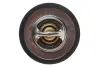 Термостат Ford Fiesta/Escort 1.1-1.3i 86-03 MOTORAD 200-92JK (фото 3)