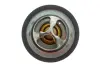 Термостат Renault Koleos/Laguna III/Megane III 2.0 16V 07- MOTORAD 457-95K (фото 2)