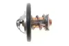 Термостат Ford Fusion/Fiesta/Focus 1.2-1.6 95- (82˚C) MOTORAD 531-82K (фото 1)