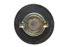 Крышка бака топливного DB 208-609 MOTORAD MGC843 (фото 4)