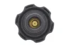 Крышка бачка расширительного Jaguar XJ/XK/X-Type 2.0D-4.2 96-09 MOTORAD T60 (фото 4)