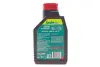 Олива Garden 2T Hi-Tech (1L) (102799) MOTUL 834901 (фото 3)