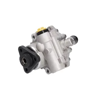 Насос ГУР новий Skoda Superb 01-08, VW Passat B5 96-05, BMW X5 E53 00-07 MSG BW015
