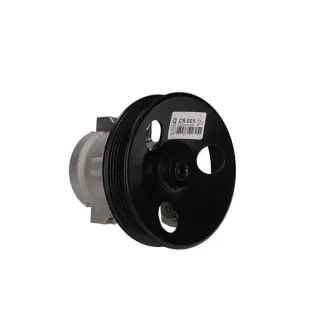 Насос ГУР новий Opel Antara 06-15, Chevrolet Nubira 05-11, Chevrolet Lacetti 04-13 MSG CR001