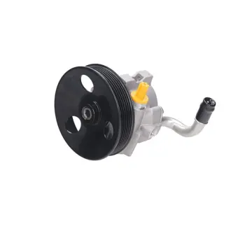 Насос ГУР новий Chevrolet Lacetti 04-13, Chevrolet Aveo 06-16, Daewoo Lacetti Premiere 09-11 MSG DA002