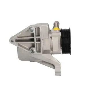 Насос ГУР новий Fiat Ducato 02-06, Iveco Daily E3 99-06 MSG FI006