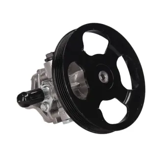 Насос ГУР новий Mitsubishi Colt 95-02, Mitsubishi Lancer IX 03-11 MSG MT006