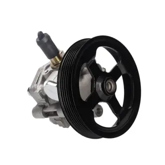 Насос ГУР новий Peugeot 4007 07-12, Mitsubishi Outlander XL 07-12, Citroen C-Crosser 07-12 MSG MT016