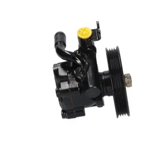 Насос ГУР новий Renault Vel Satis 02-09, Nissan Maxima A32 94-00, Nissan Maxima A33 00-06 MSG NI001