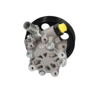 Насос ГУР новий Opel Insignia 08-16, SAAB 9-5 09-11 MSG OP009