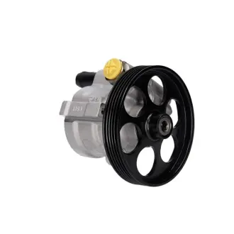 Насос ГУР новий Renault Master II 97-10, Nissan Interstar 01-10, Opel Vivaro 01-14 MSG OP019