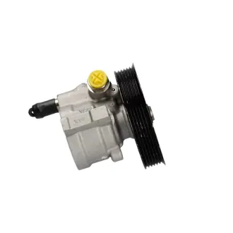 Насос ГУР новий Renault Kangoo 97-07, Nissan Kubistar 03-08, Dacia Logan 04-12 MSG RE013
