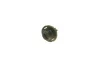Автолампа 12V 1.2W BX8.4d Black (в щиток приладів) NARVA 170283000 (фото 2)