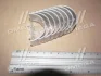 Вкладыш коренной NDC CB2205GP050 (фото 1)