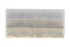 Набір гайок (300шт) (M3/M4/M5/M6/M8/M10) NEO TOOLS 11-982 (фото 2)