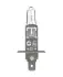 ЛАМПА N448EL-SCB 55W 12V P14.5S FS2 NEOLX ="" NEOLUX N448ELSCB (фото 2)