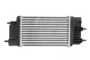 Интеркулер NISSAN EVALIA (M20_) (10-) 1.5 dCi NISSENS 961433 (фото 2)