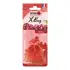 Ароматизатор мешочек X bag 20 гр Cherry Nowax NOWAX NX07555 (фото 1)