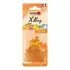 Ароматизатор мешочек X bag 20 гр Squash Nowax NOWAX NX07557 (фото 1)