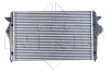 Радіатор інтеркулера Ford Galaxy/VW Sharan 1.9/2.0TDI 02-10 NRF 30166 (фото 3)