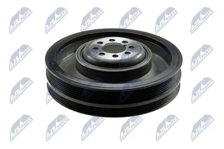 Шків NTY RKPVW006