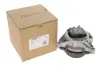 Опора двигуна (R) BMW X3 (F25)/X4 (F26) 14-18 B47 D20 OE Germany 801211 (фото 1)