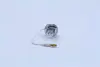 ЛАМПА H3 12V 55W PK22s BLI STANDARD ="" OSRAM 64151-01b (фото 4)
