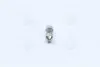 Лампа 12V 10W SV8.5-8 FS STANDARD (31 мм) OSRAM 6438 (фото 2)