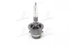 Лампочки освітлення, ксенон, LED OSR66250 XENARC OSRAM 66250 (фото 2)