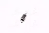 NEOLUX Лампа H6W 12V 6W BAX9S OSRAM N434 (фото 2)