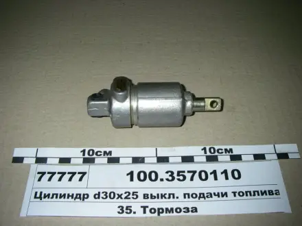 Цилиндр пневматический 30х25 (выр-во) ПААЗ 100.3570110